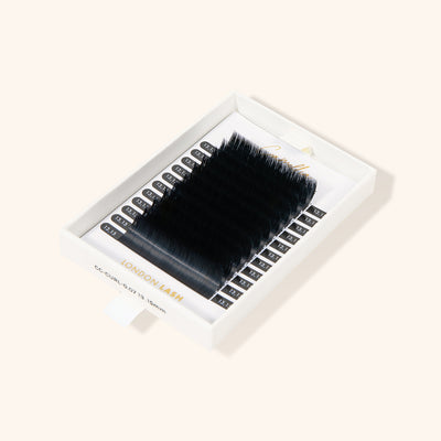 Tray of Camellia Easy Fanning Lashes in 0.07 Single Sizes