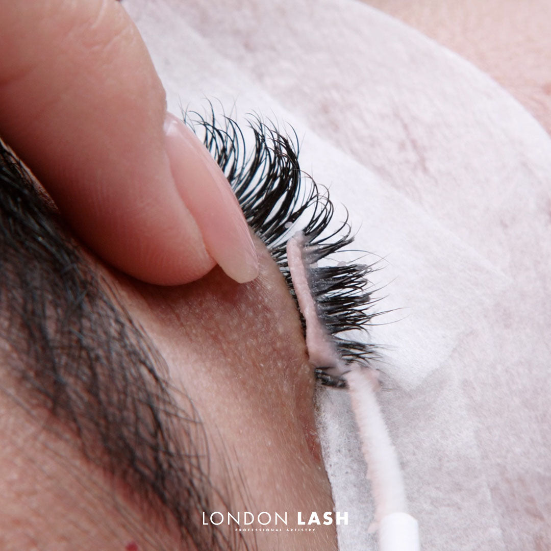 Lash Knowledge Builder: Classic, Hybrid & Speedy Volume