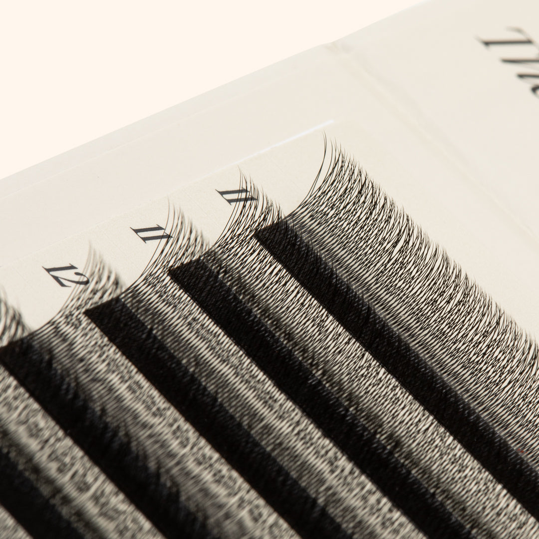 SpeedYY Lashes - 3DW