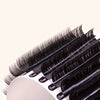 Strip of Classic Chelsea Lashes in 0.15