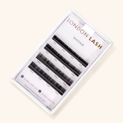 Tray of Mayfair Lash Extensions